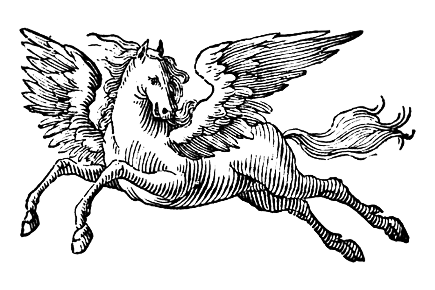 Your Site Title