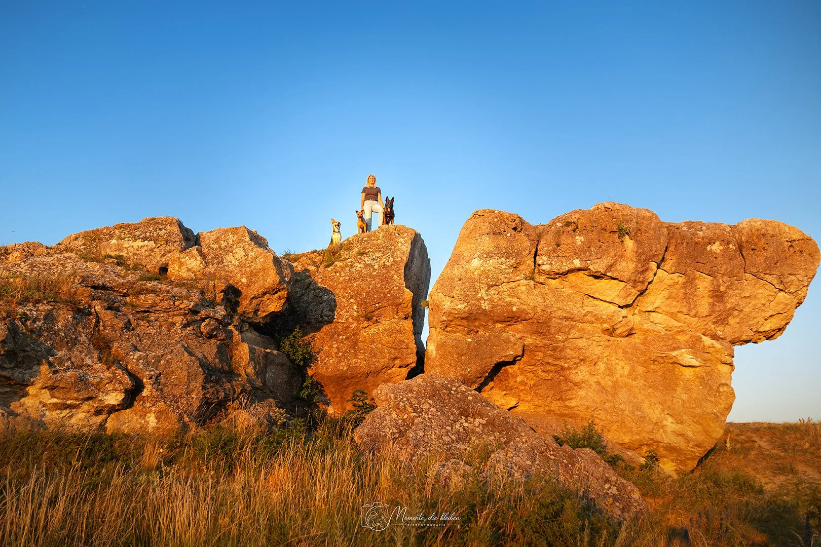 Frau mit drei Hunden steht auf einem großen Felsen bei Sonnenuntergang, blauer Himmel im Hintergrund.