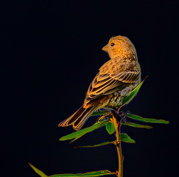 DSC_5084.jpg