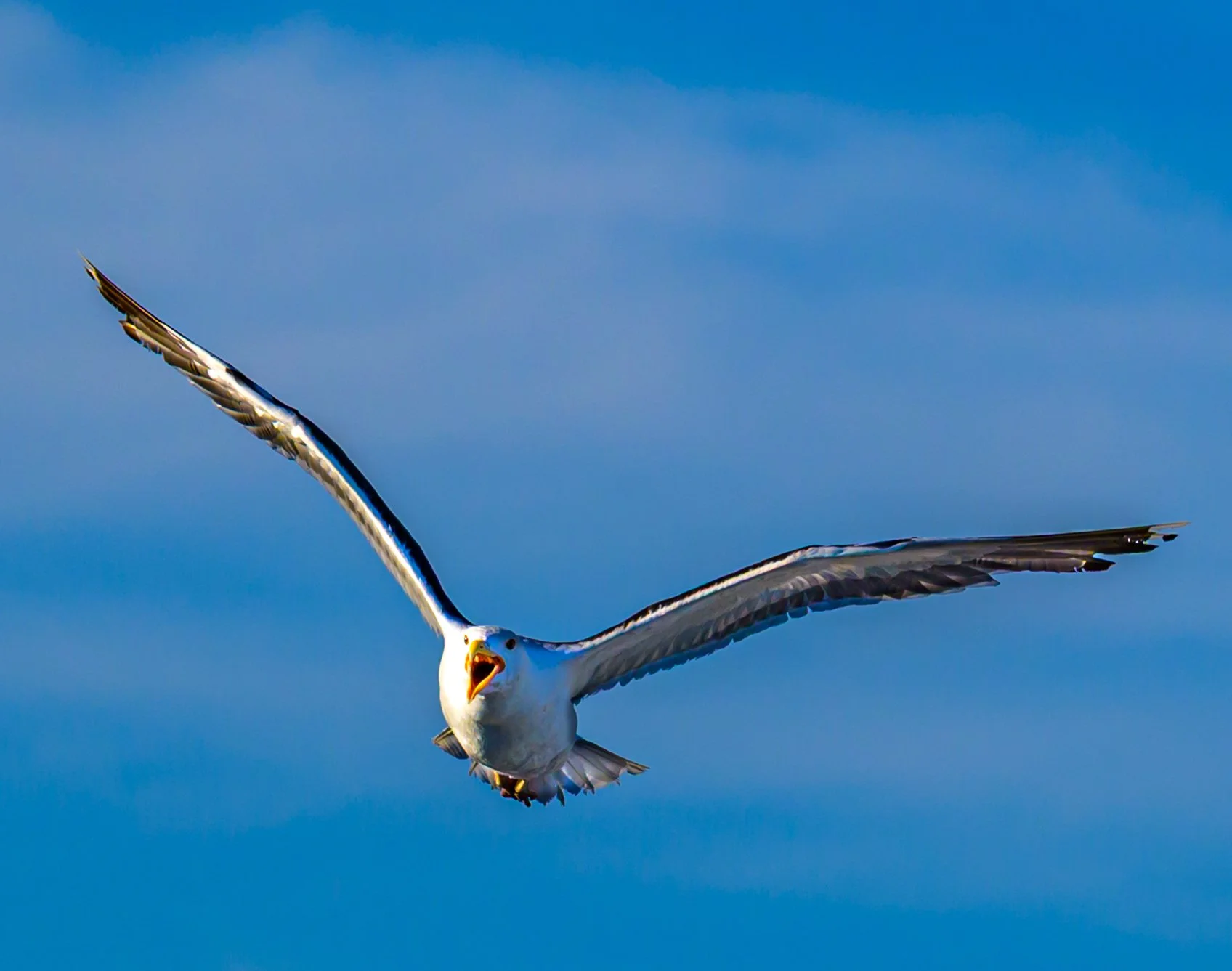 AW5_5670-2.jpg