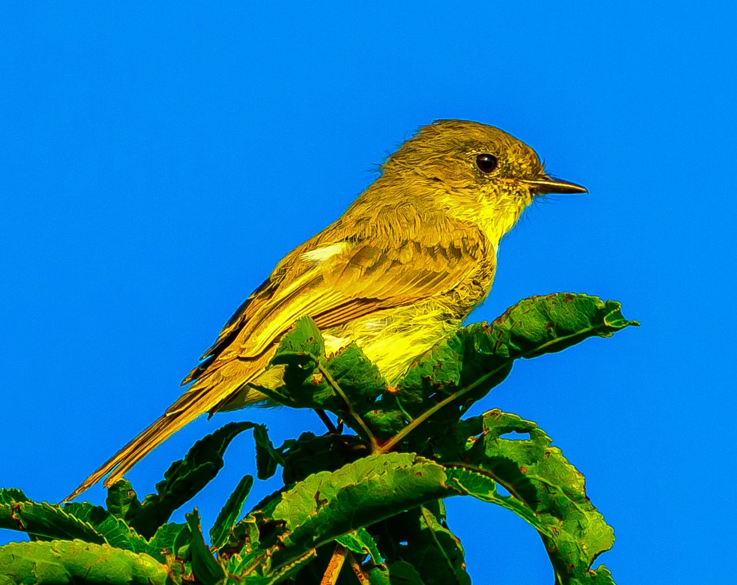 DSC_5341.jpg
