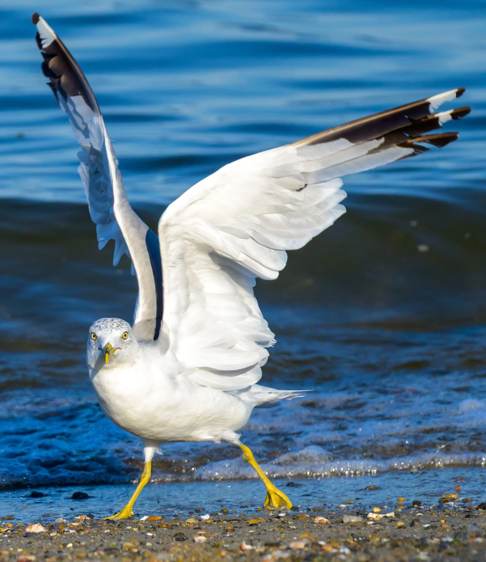 AW5_5688-2.jpg