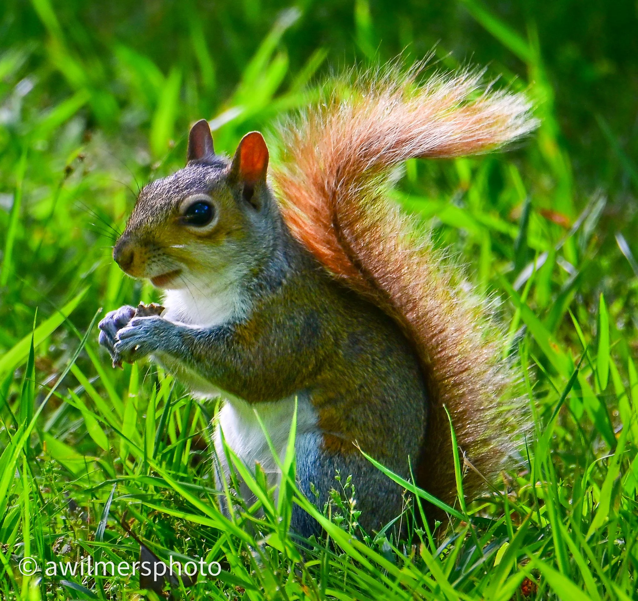 DSC_0423.jpg
