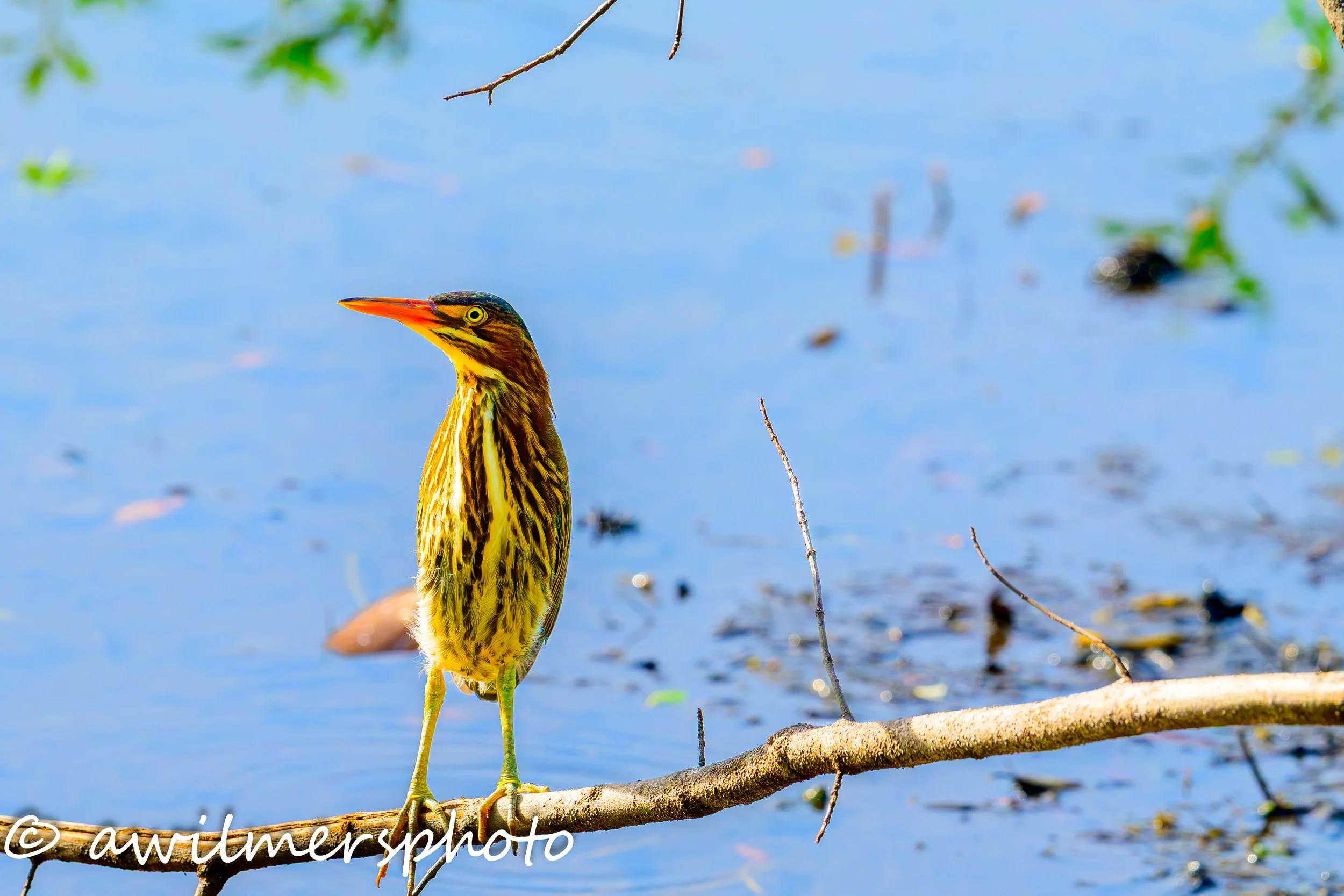 DSC_4043.jpg