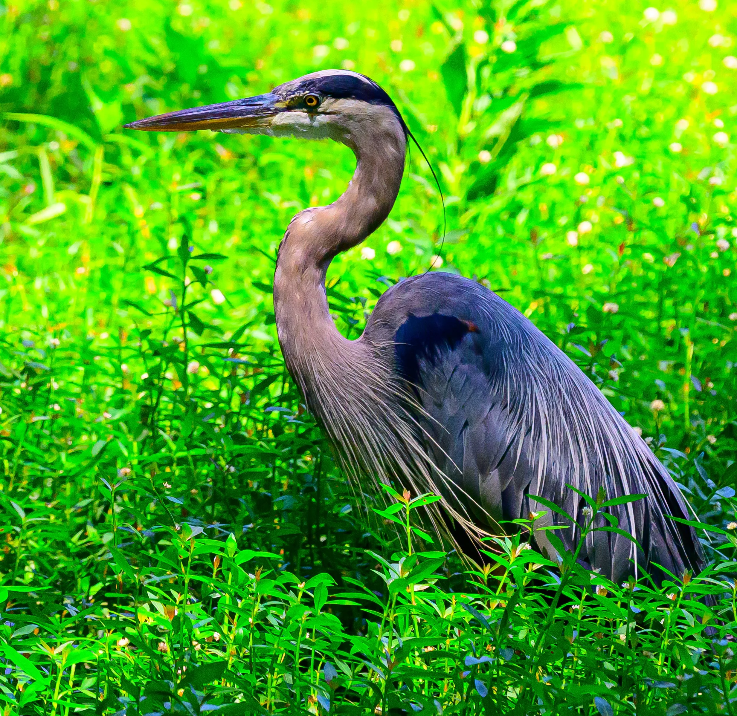 DSC_5183.jpg