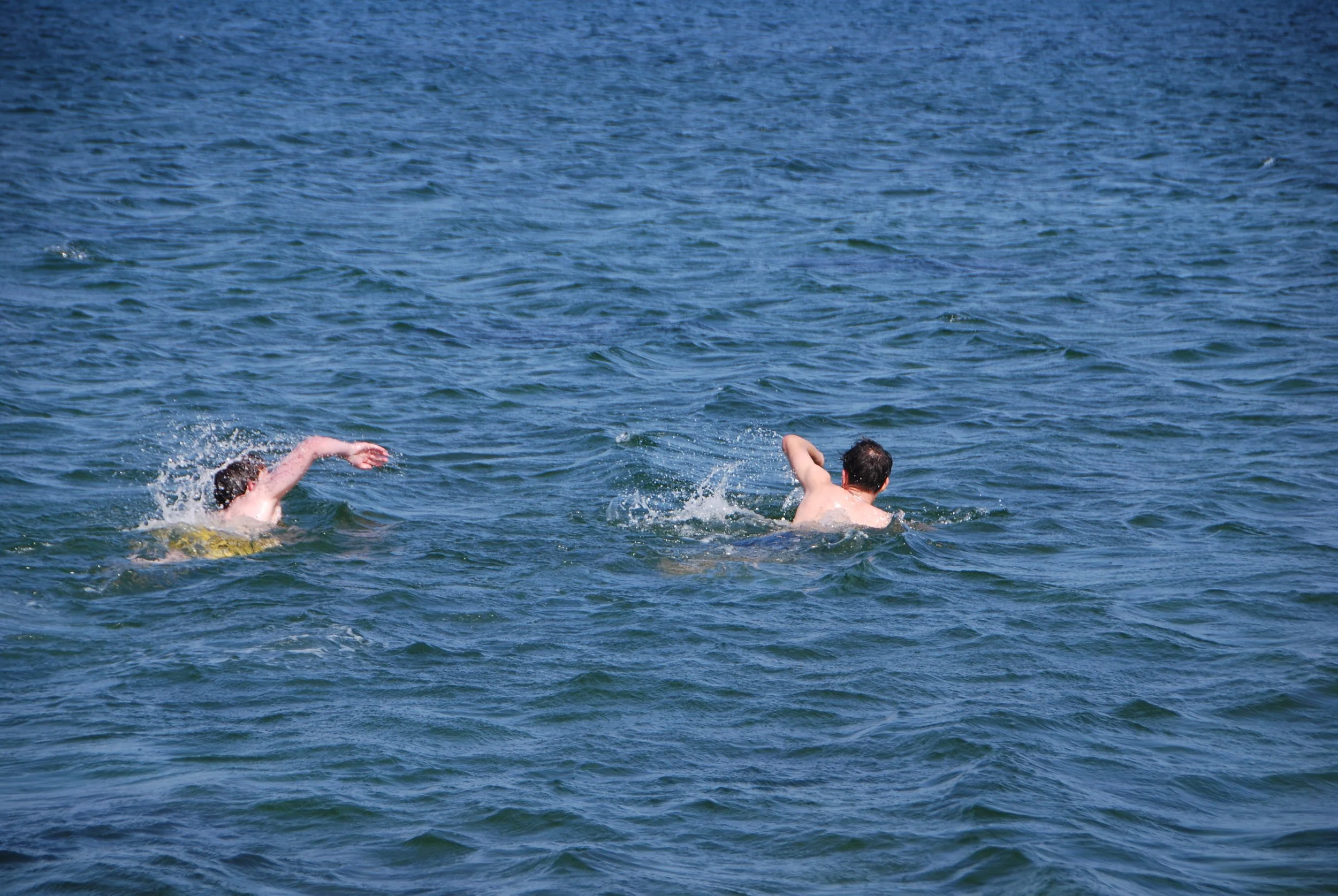 DSC_0462.JPG