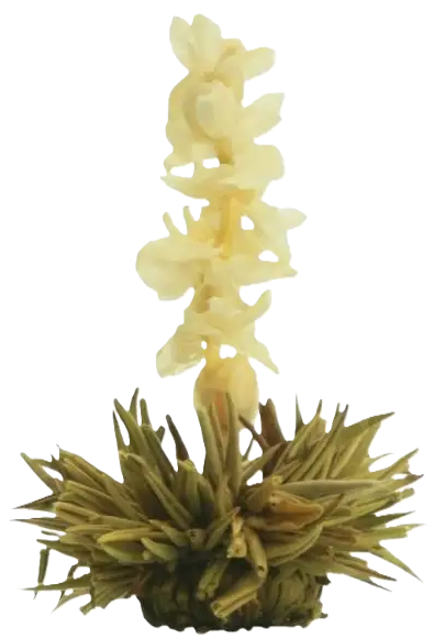 Planta de ananás com vapor subindo acima dela.