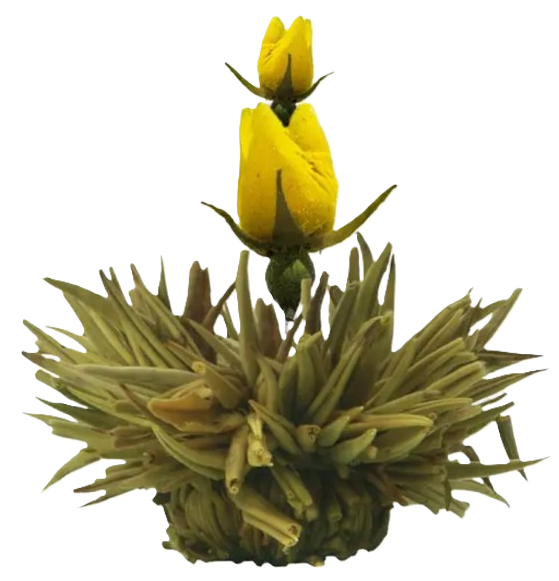Flor amarela crescendo em uma planta com folhas verdes.