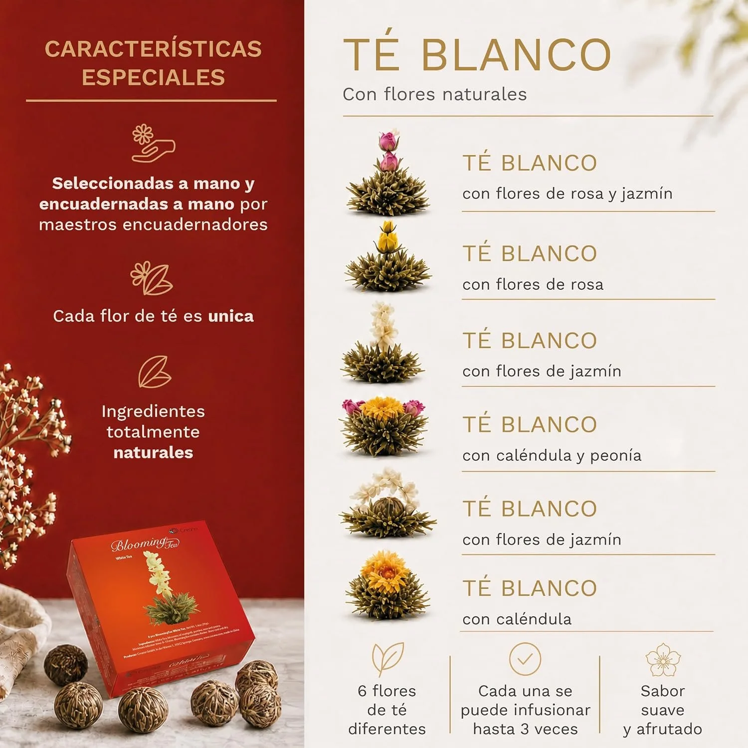 Apresentação em espanhol das flores de chá branco Creano, com variedades e características da coleção.