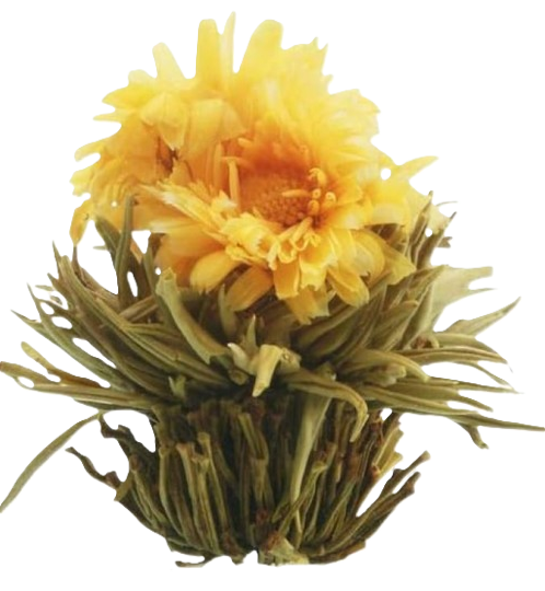 Flor seca com uma flor amarela no topo, provavelmente uma flor de cacto desidratada, sobre fundo branco.