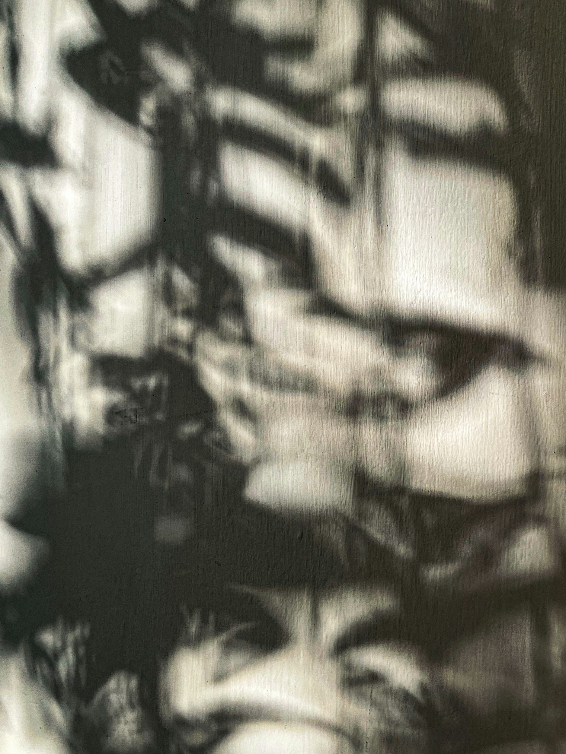 Black and white photo an indistinct background.
