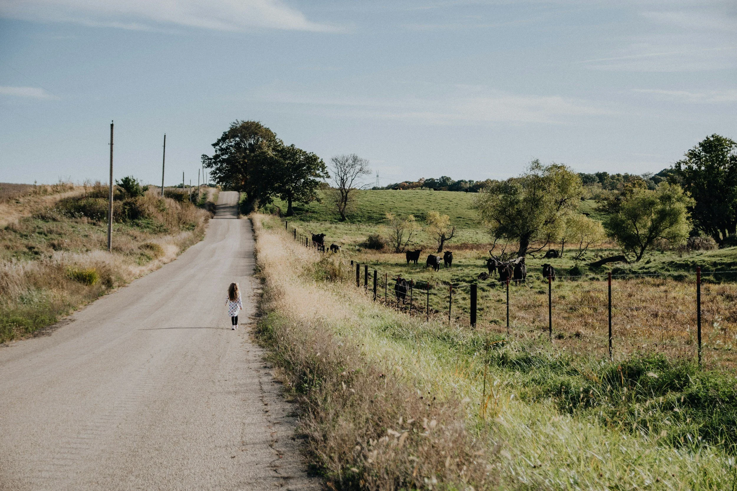A girl walking down a rural dirt road with trees and pastures on either side, cattle grazing in the field, under a partly cloudy sky.