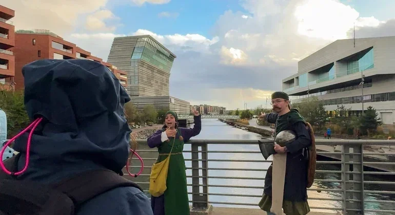 Viking Tour in Bjørvika