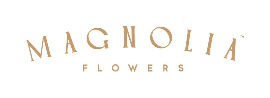 Magnolia Flowers