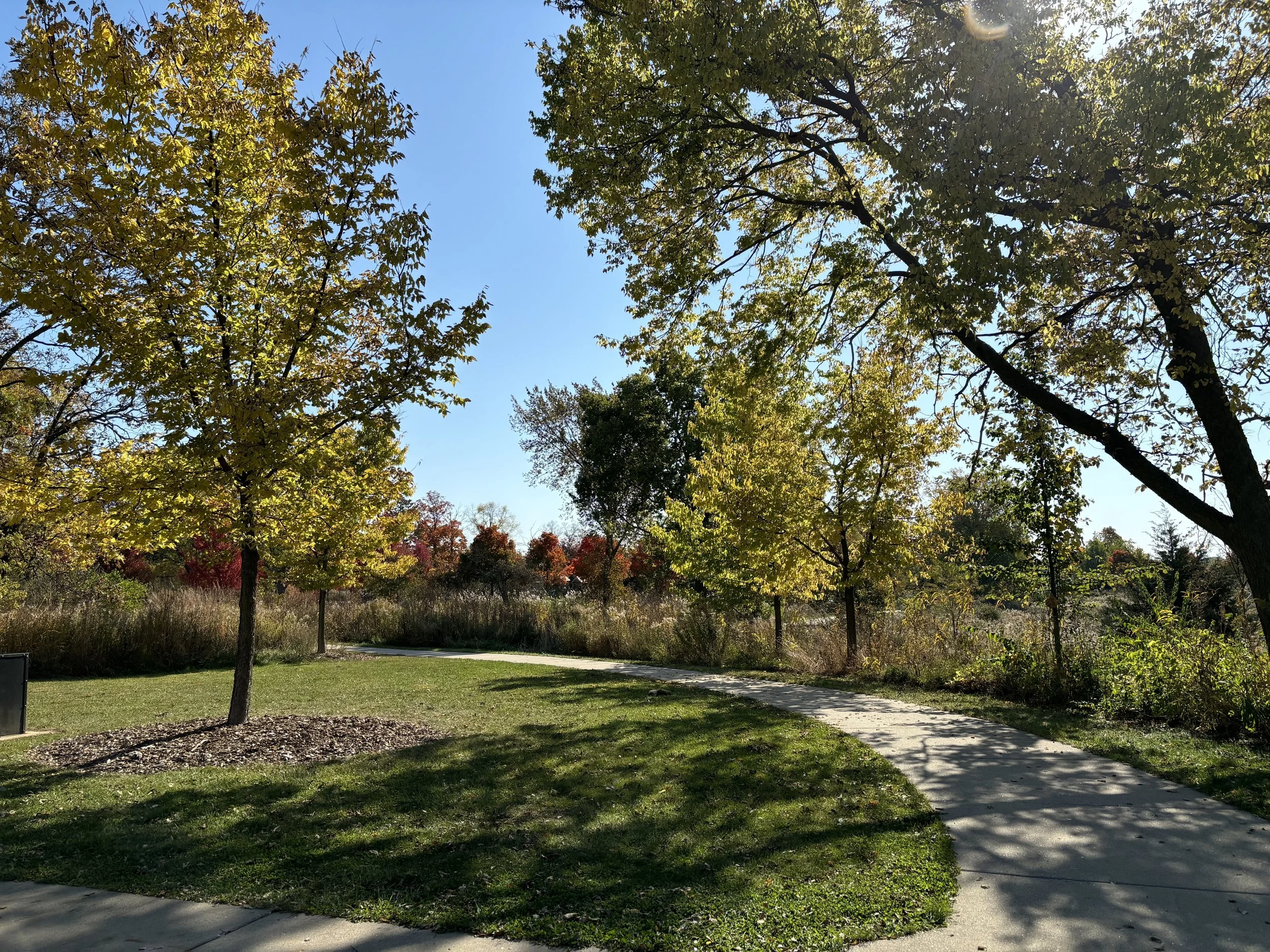 A park with a grassy area, trees with yellow and green leaves, a walking path, and clear blue sky.