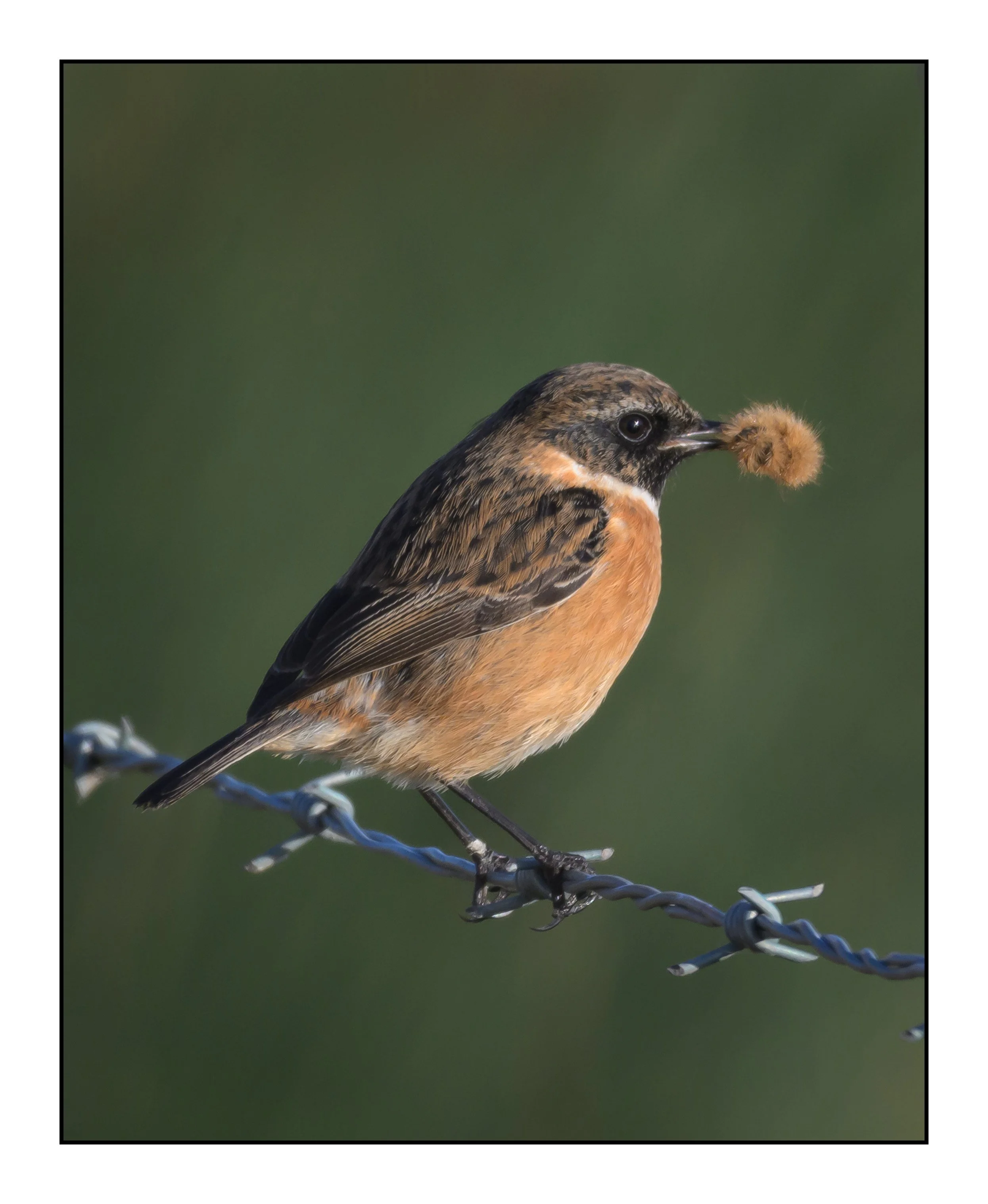 20260110_0042.jpg