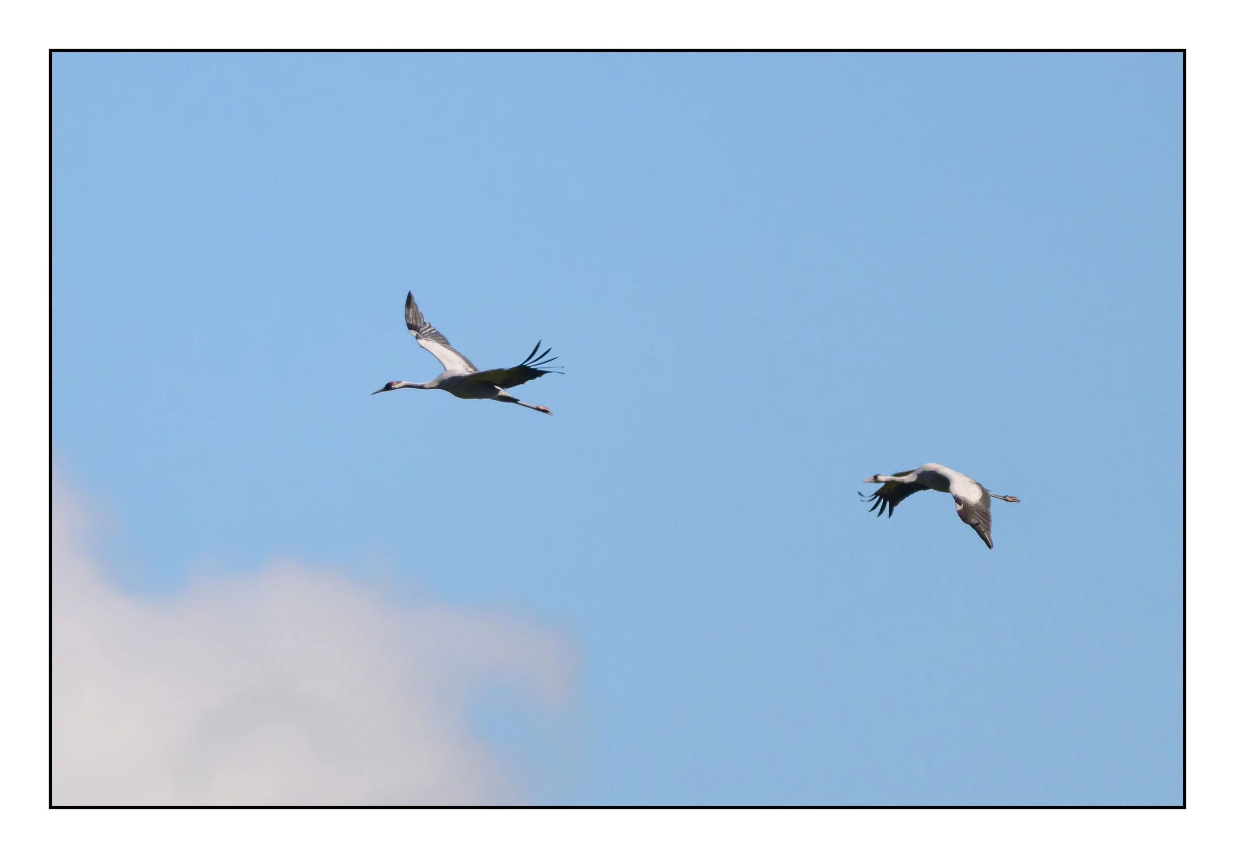 20250928_1426.jpg