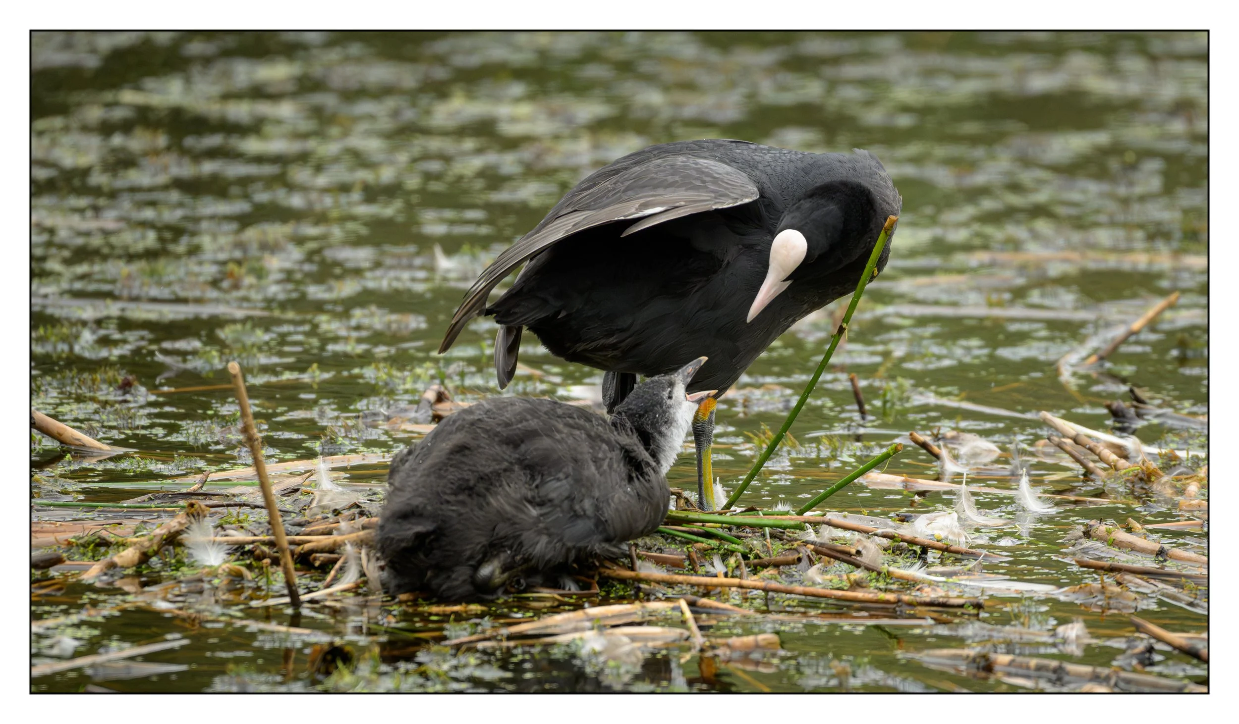 20260616_2243.jpg