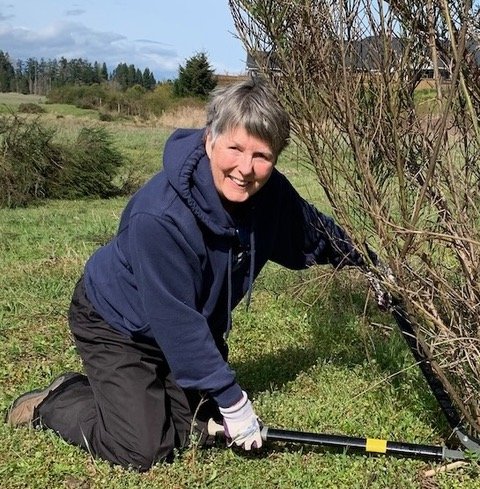 Mary Beil cutting broom, Parksville