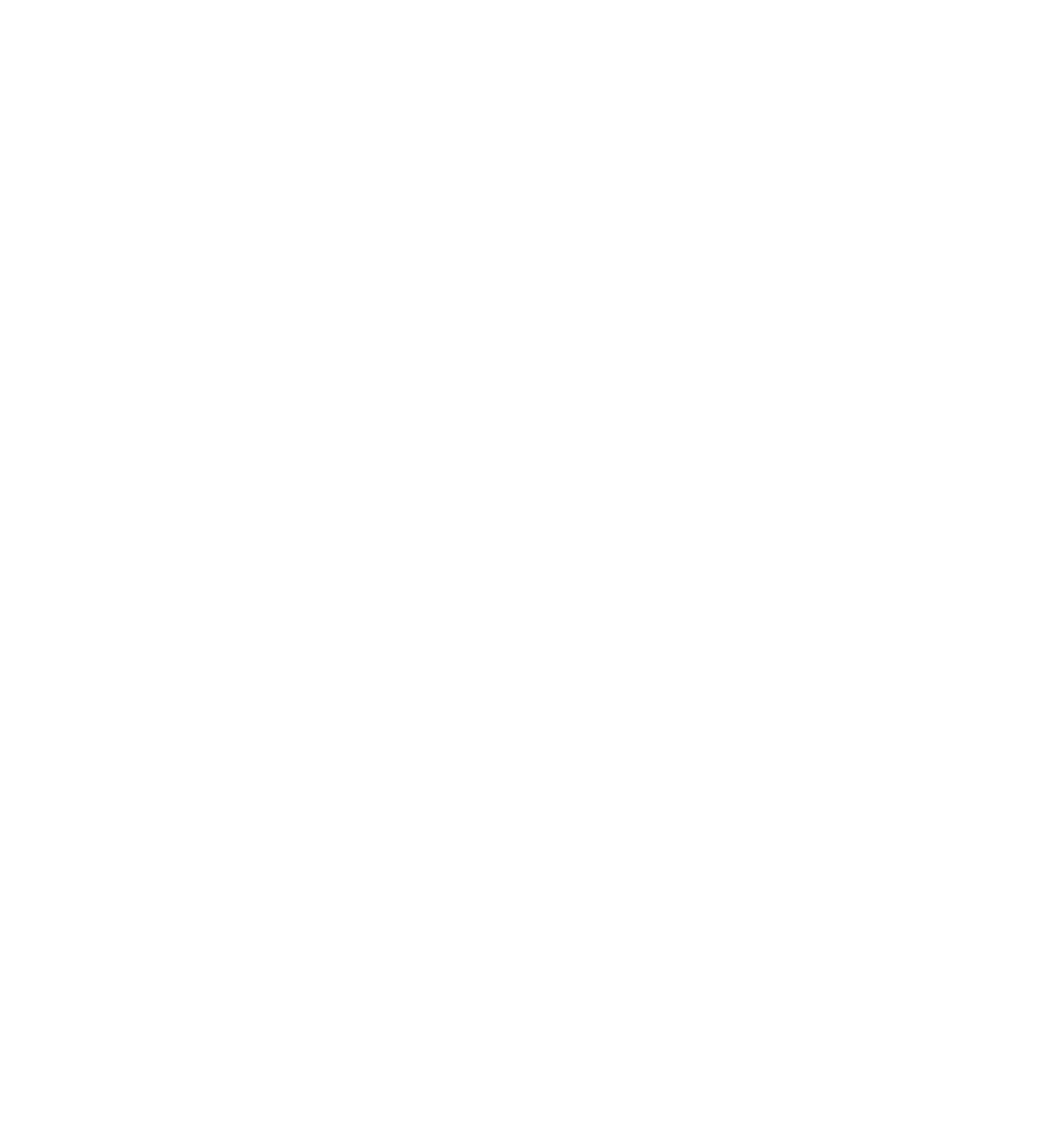 The Medina Collection