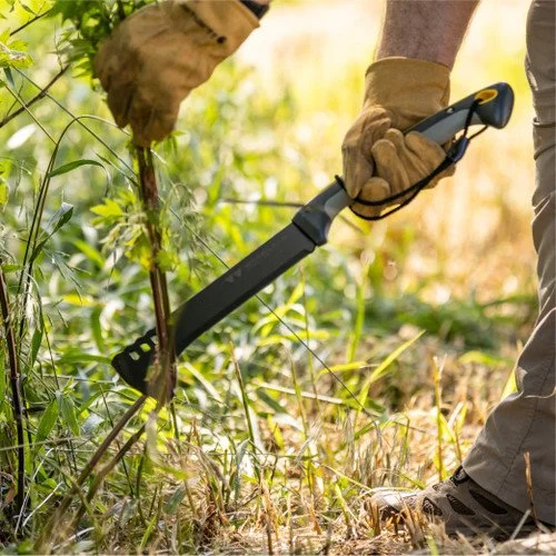 PROPERTY CLEAN UP & BRUSH CLEARING