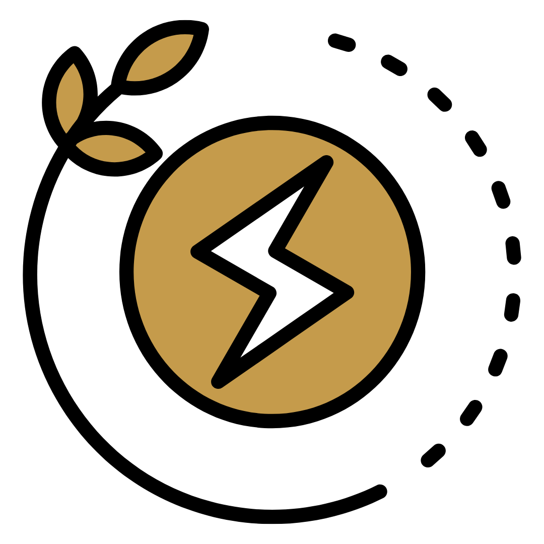 black and gold icon with lightning bolt and leaves