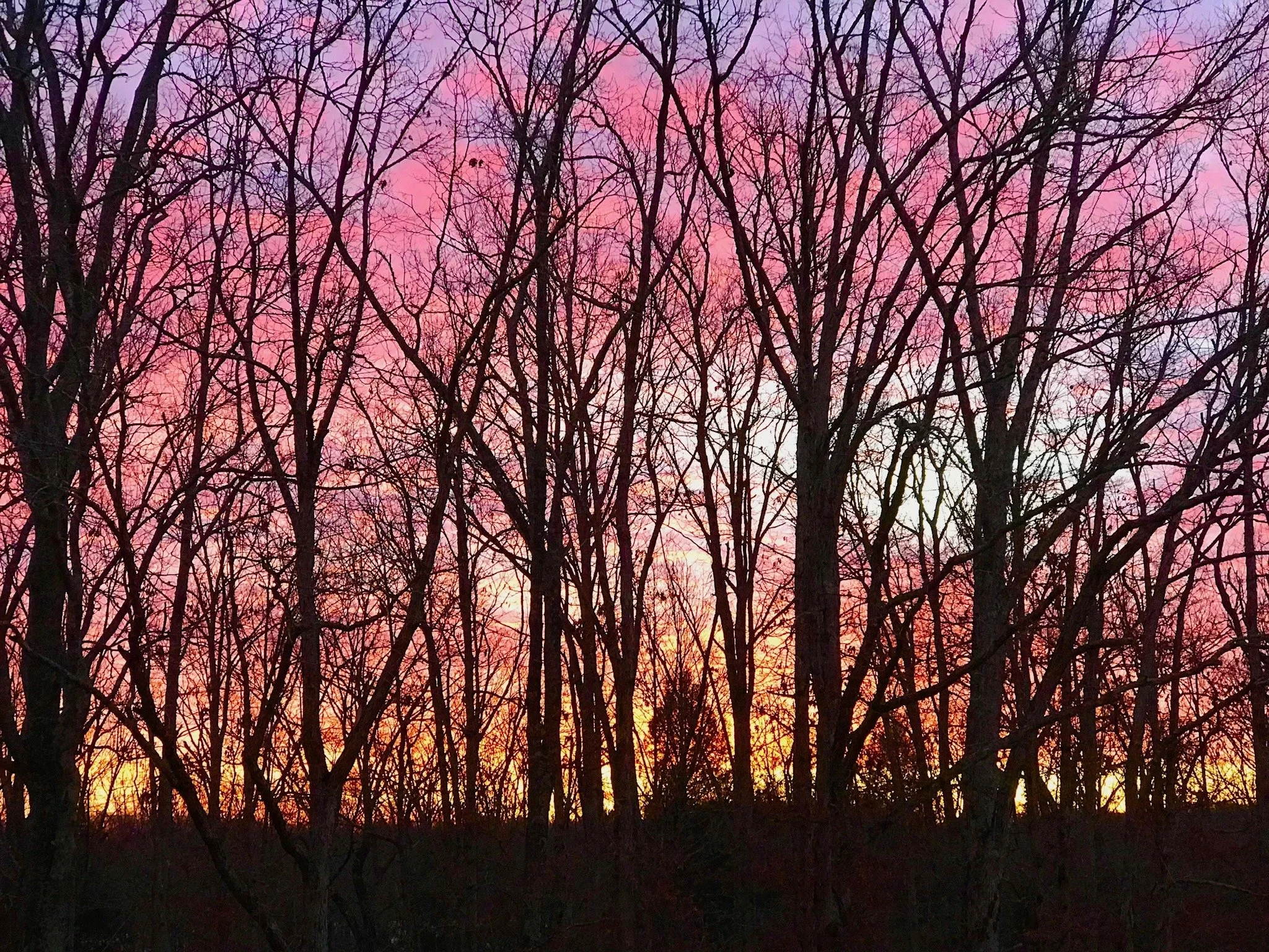 Winter sunrise near Rugby, TN
