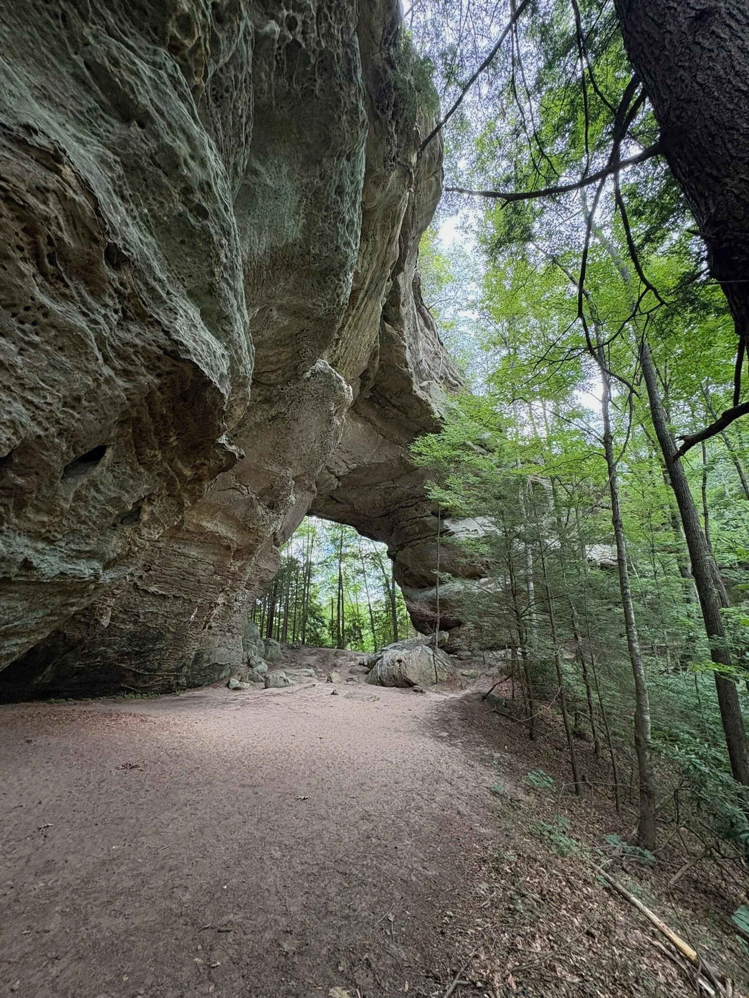 Twin Arches hiking trail near Pickett State Park, TN