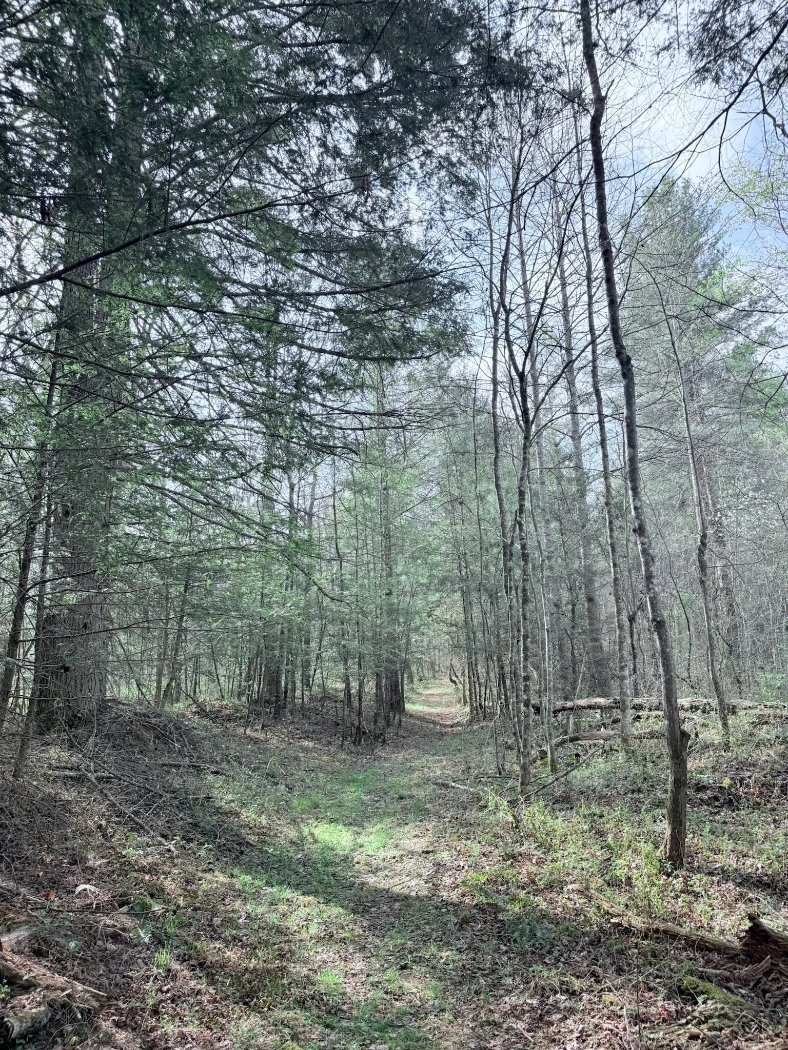  Massengale house hiking trail in Rugby, TN