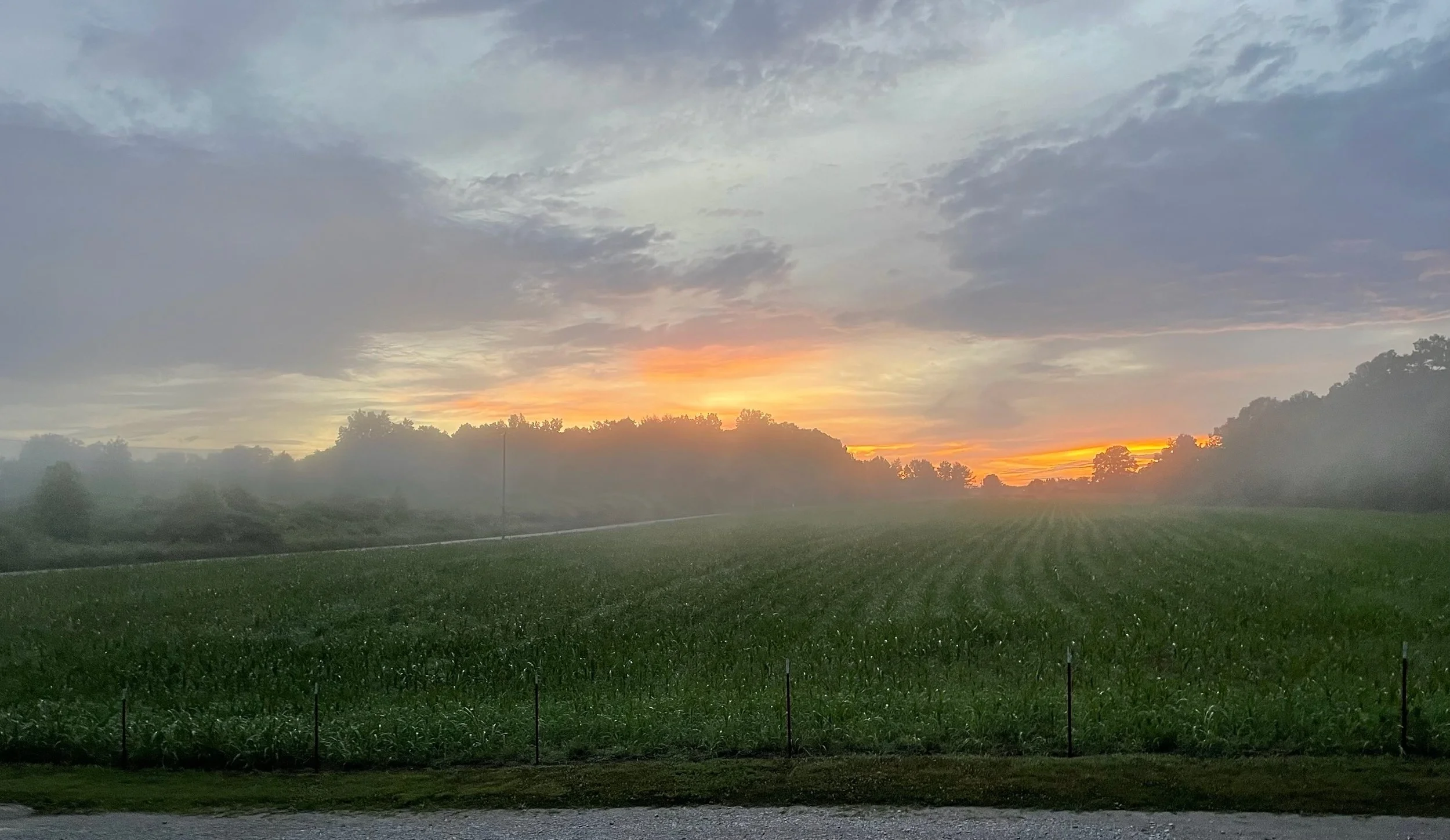 Sunset on the Cumberland Plateau