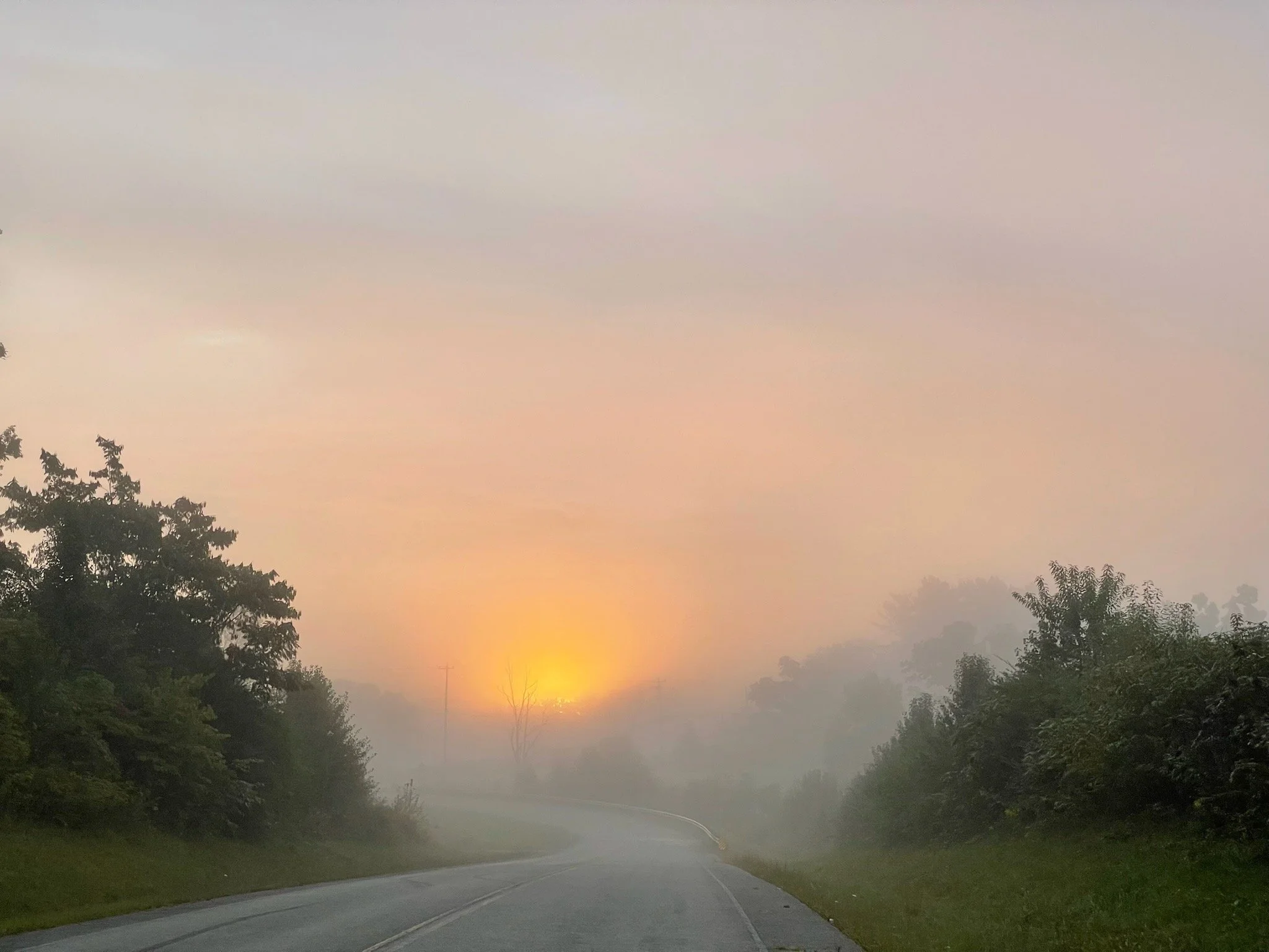 “A winding road through the foggy forest at sunrise near Rugby, Tennessee.”