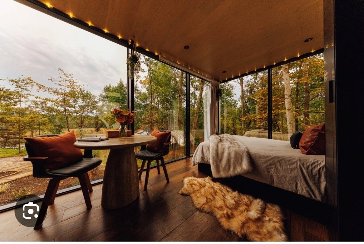 “Interior of the luxury mirrored cabin at Fallon’s Branch Retreat with floor-to-ceiling forest views.”