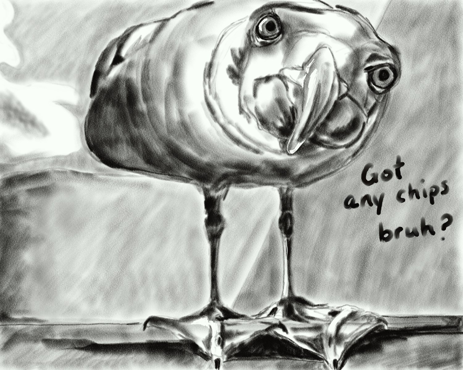 9-9 seagull.jpg