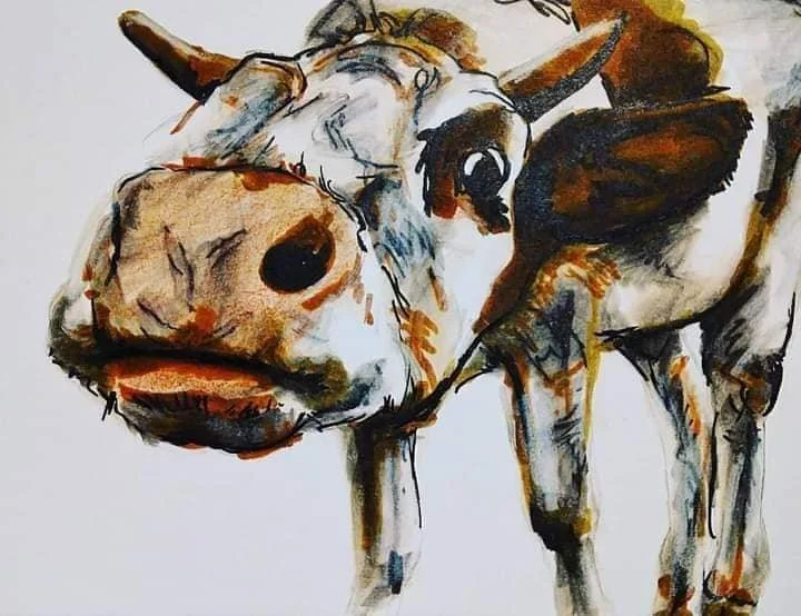 Interested Cow.jpg