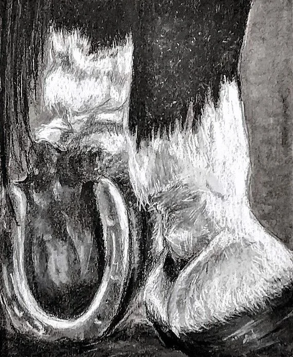 Hooves.jpg