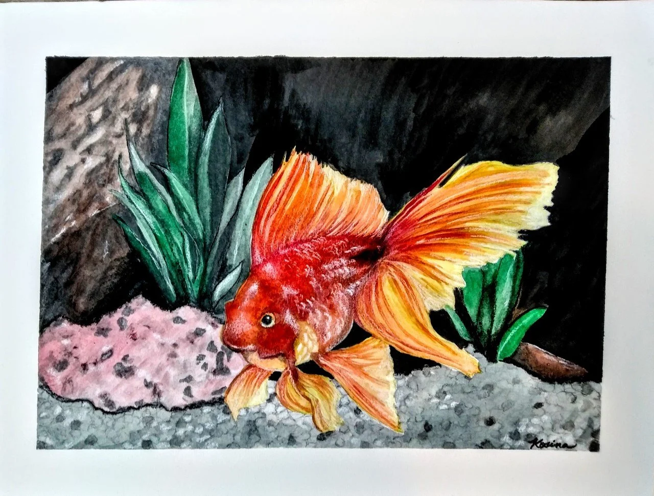 Goldfish.jpg
