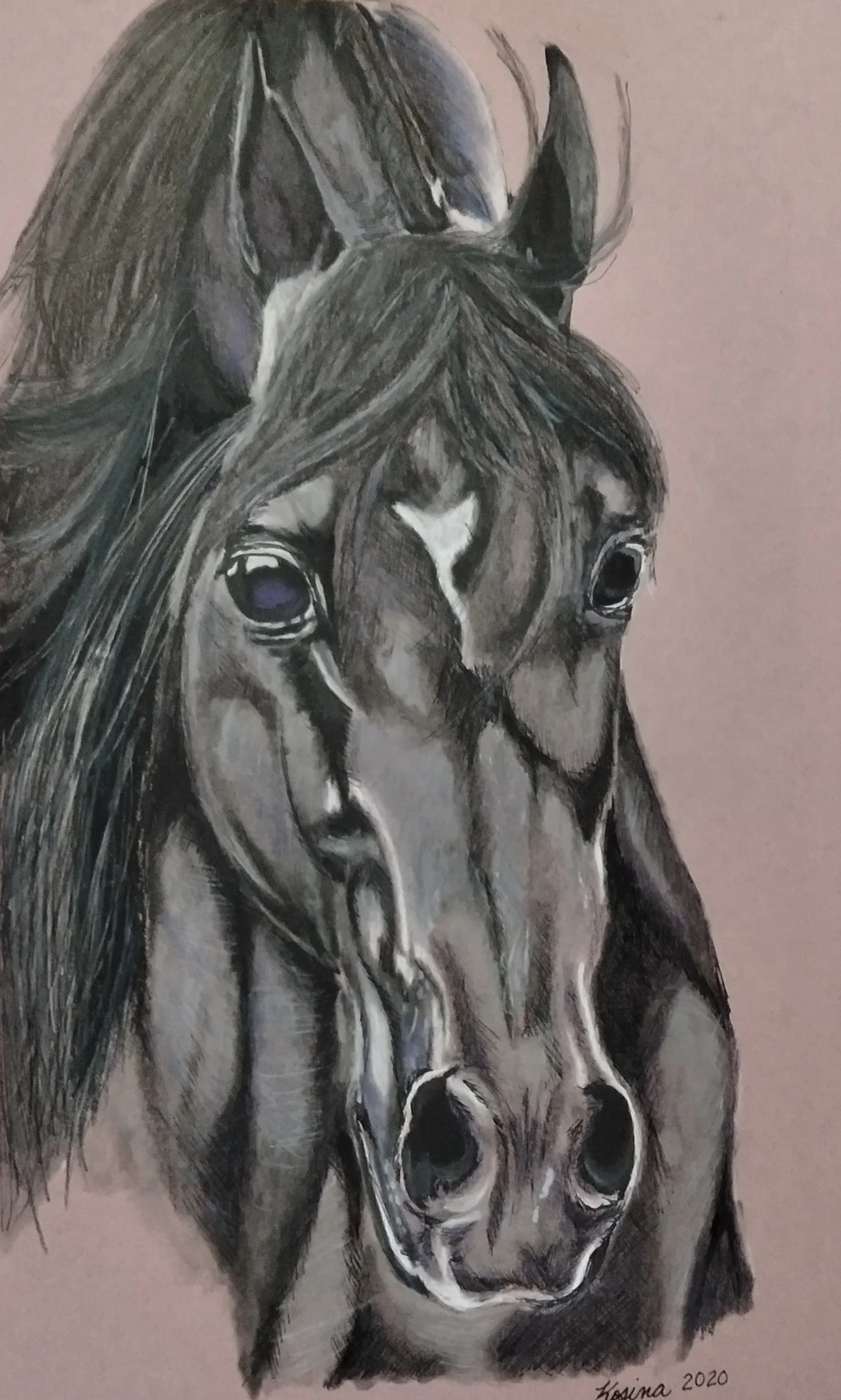 dark_horse.jpg
