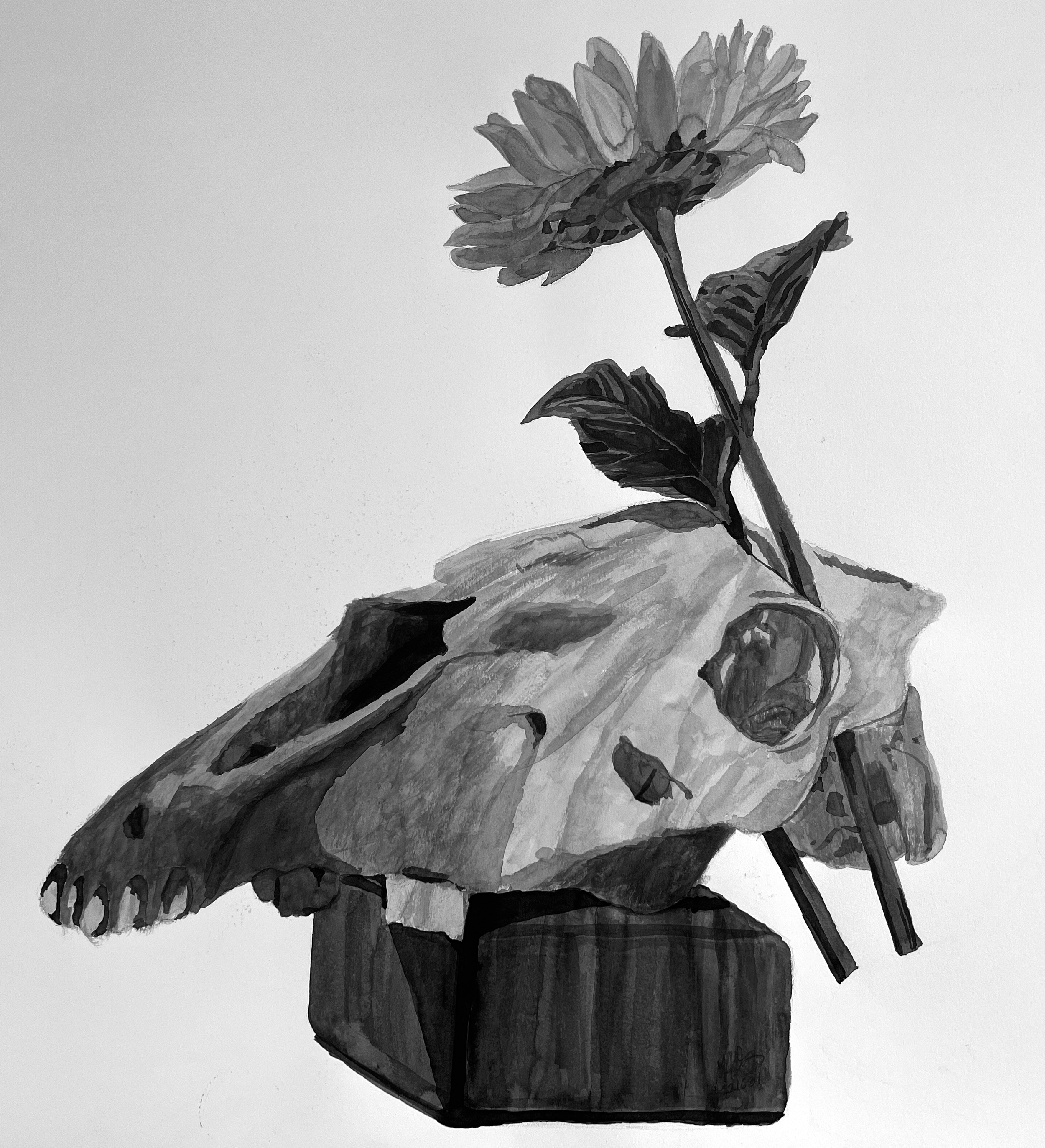 GrimSun