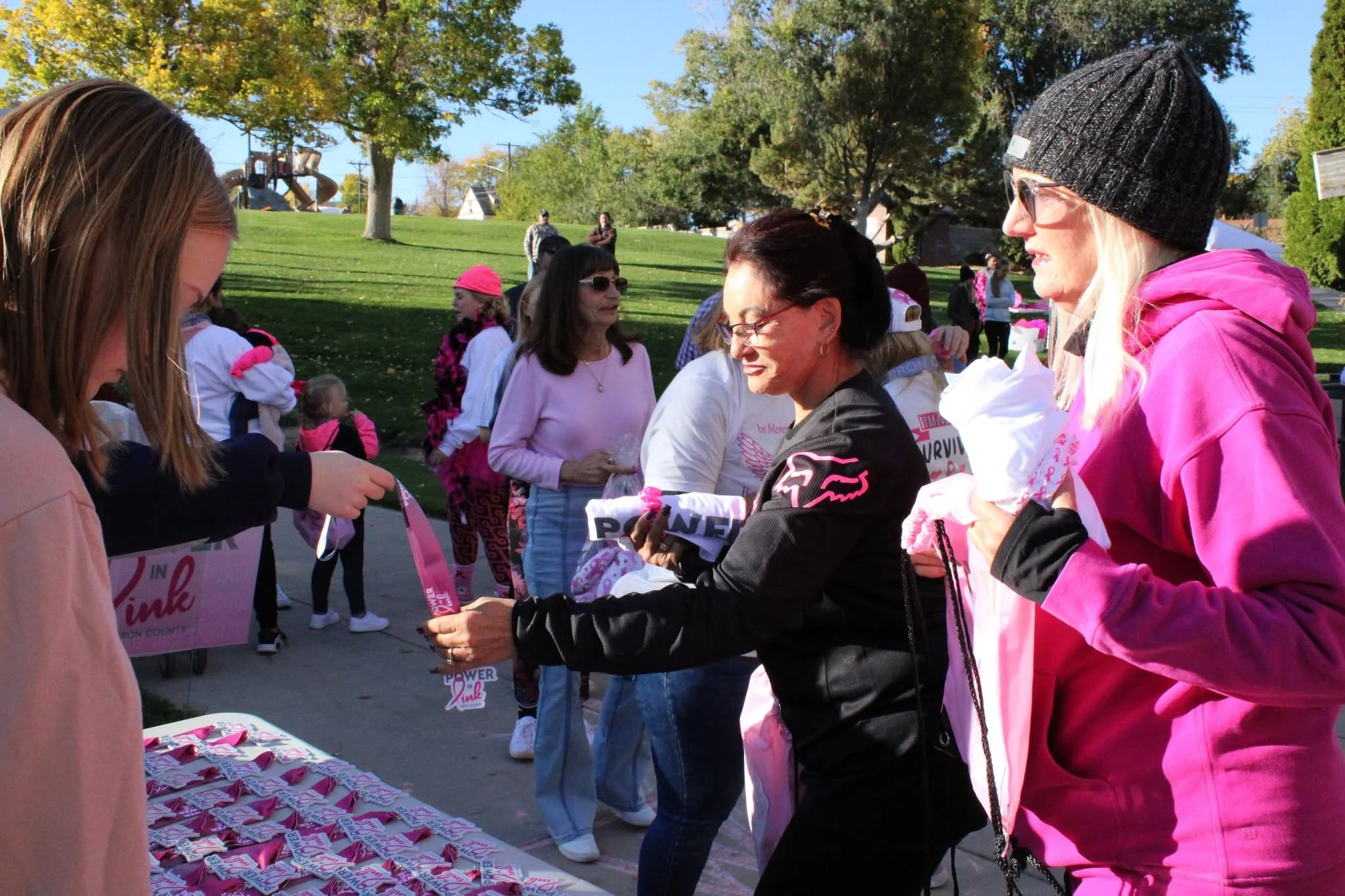 People gathered at a park for a breast cancer awareness event, with pink ribbons and signs reading 'Power of Pink' on a table, some wearing pink clothing and accessories.