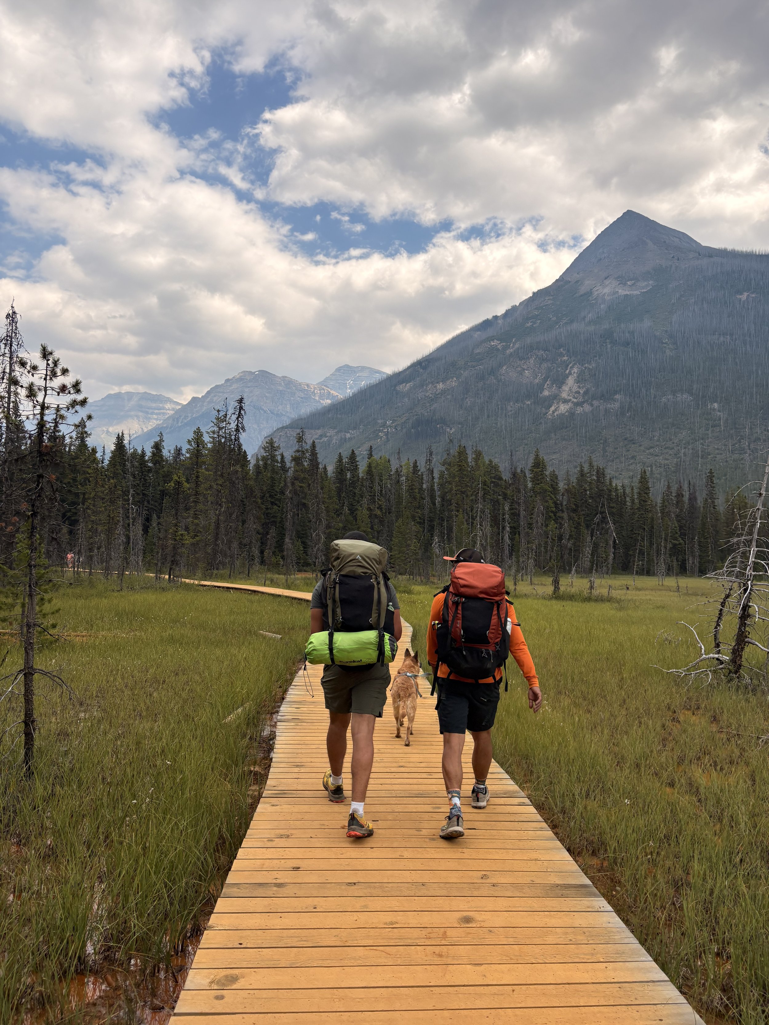 Two hikers with backpacks walking on a wooden trail through a grassy wetland, surrounded by trees and mountains under a partly cloudy sky.