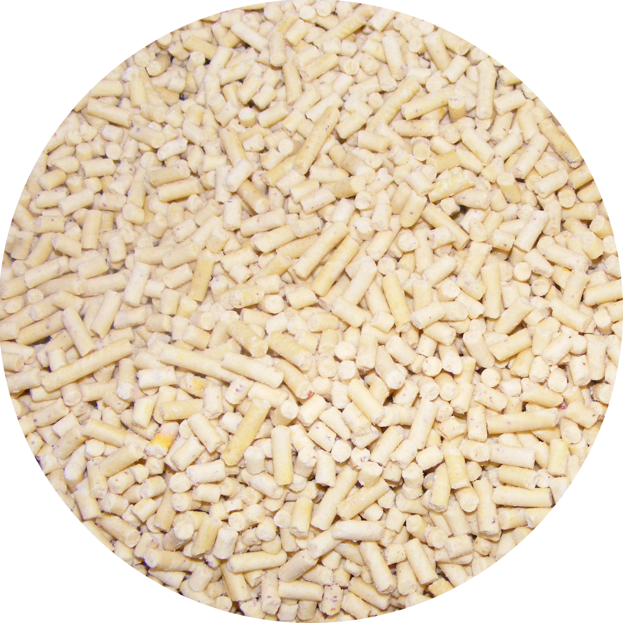 Close-up of a pile of Insect Flavored Suet Pellets.