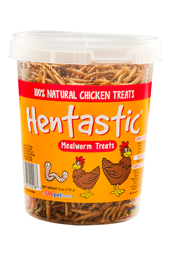 WB900 - Hentastic® Mealworm Tub - 5.5 oz