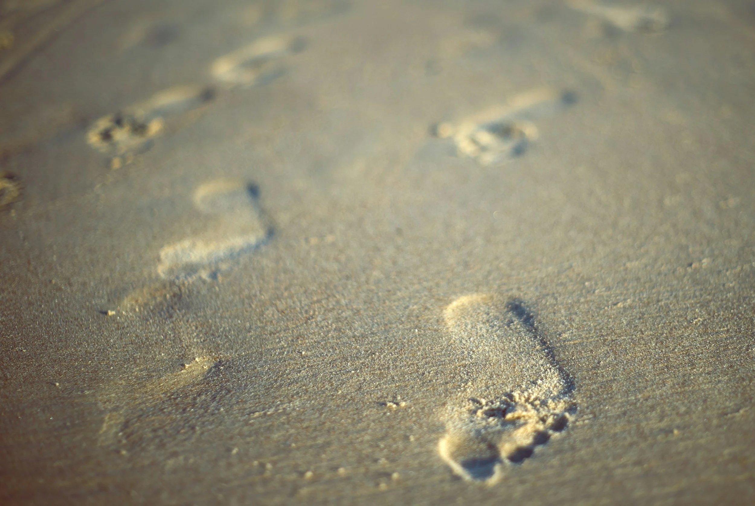 Close-up of a sandy beach with footprints in the sand.