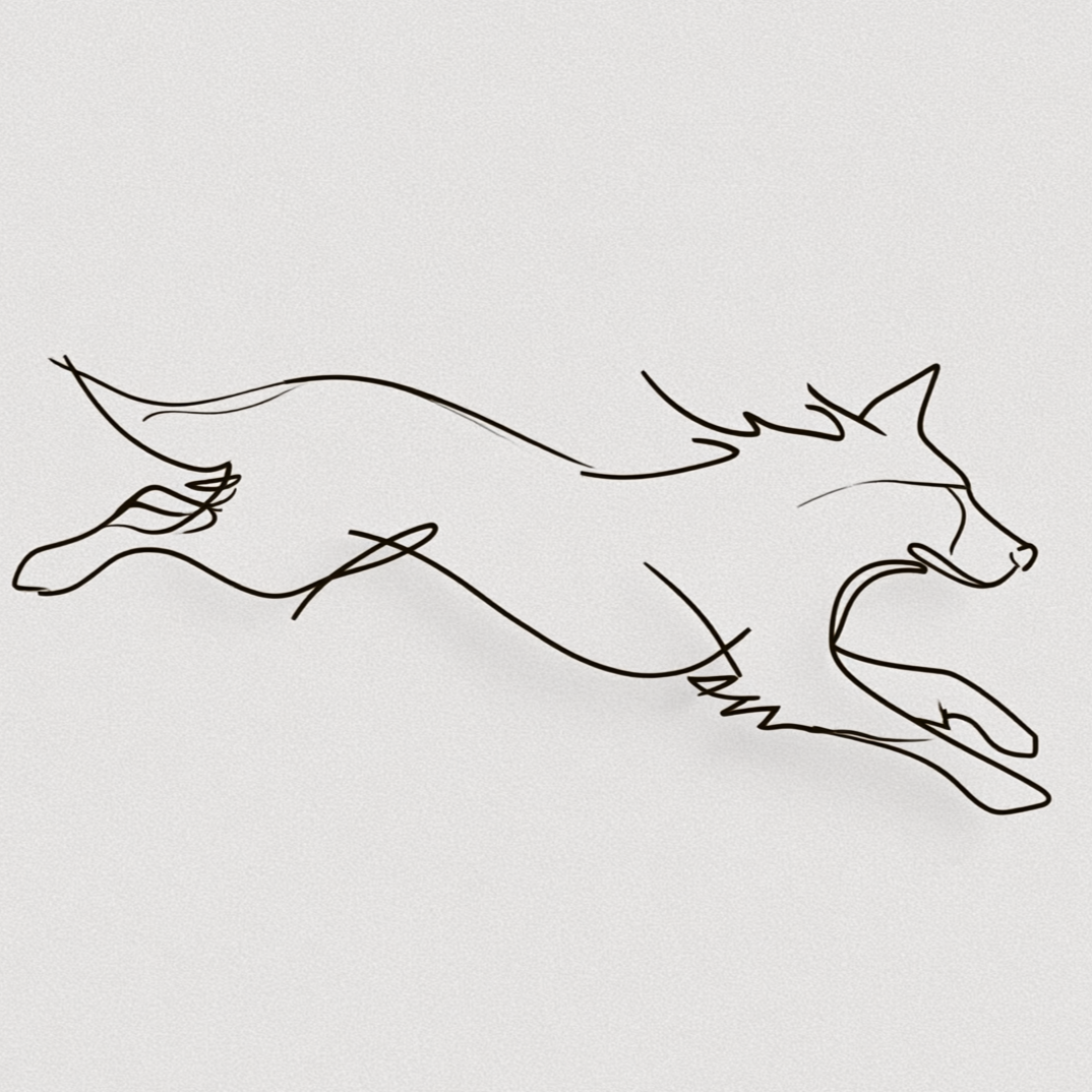 Canis Major Consulting