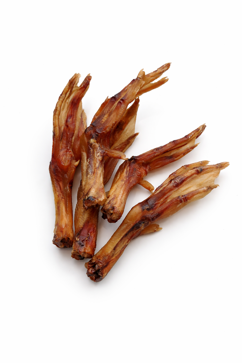 Duck Foot Picture Revised .png