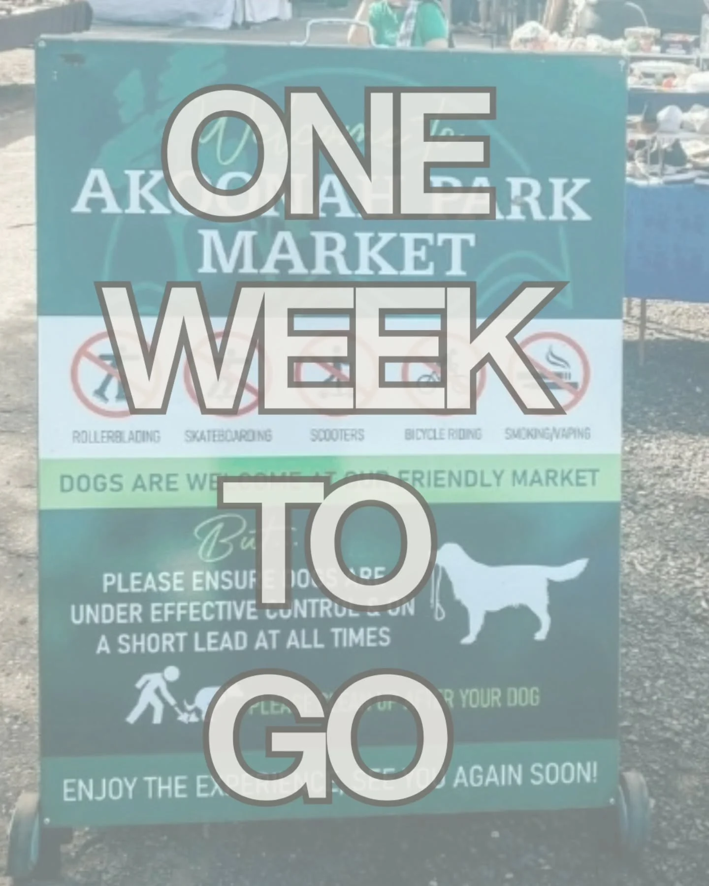 One week to go until we hit Akoonah Park Market in Berwick 🥳

Kids, women's, maternity, toys, books, accessories. Oh, and did we mention our $2 bargin bins?!

Come &amp; see what treasures you will find ✨️

🗓 Sunday 4th of October

📍Akoonah Park M