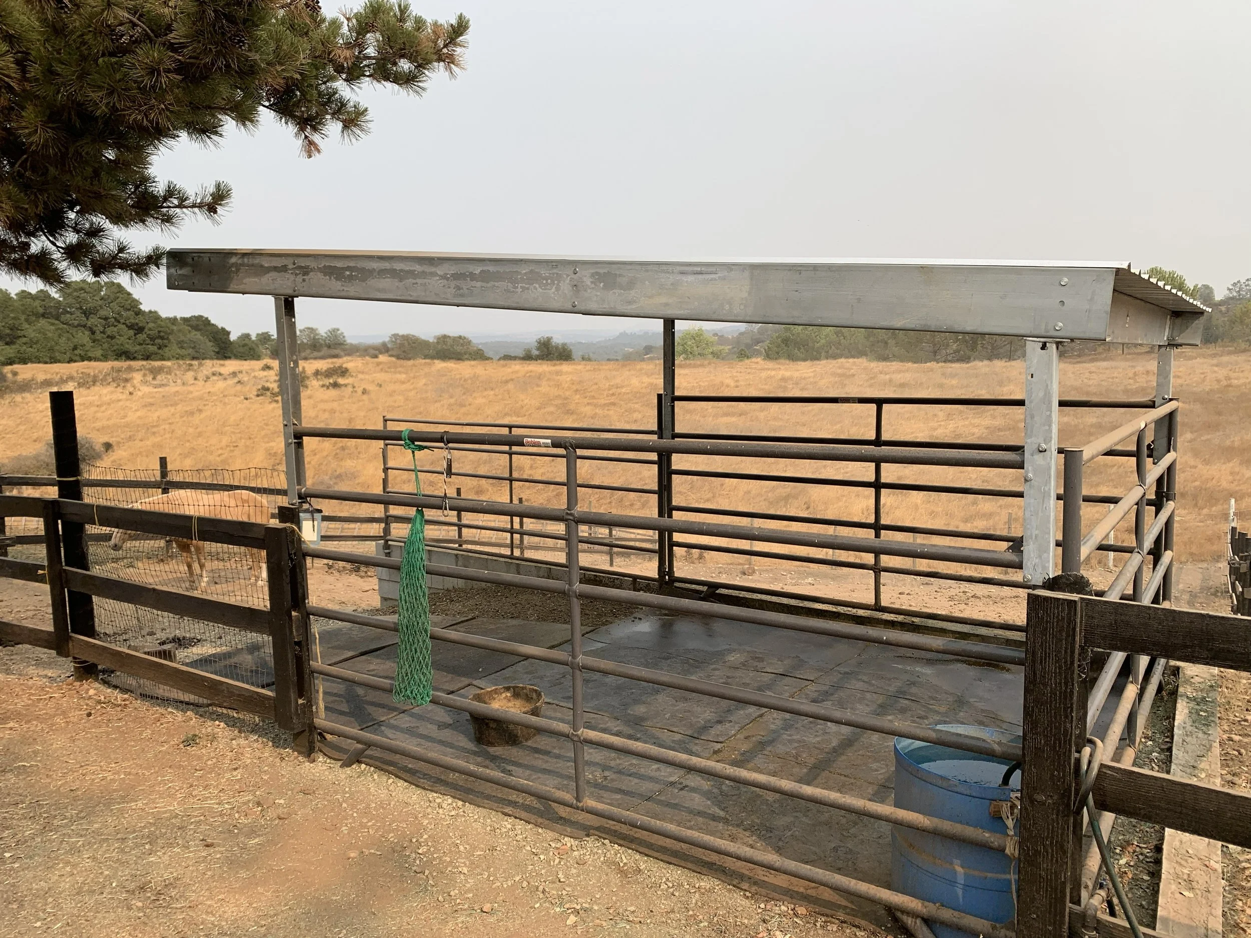 A fenced outdoor enclosure with a metallic shelter, a blue water barrel, and a green rope tied to the fencing, set in a dry, grassy landscape with trees in the background.