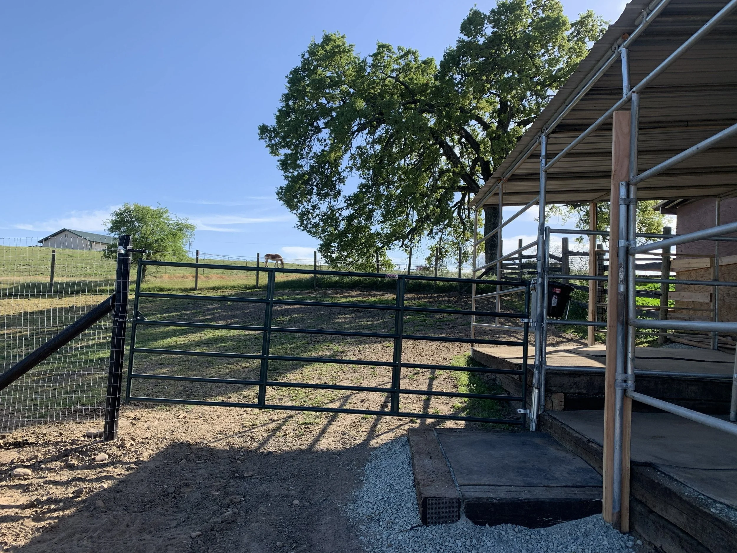 A farm scene with a large tree, a horse grazing on a hill, a barn or shed in the distance, and a fenced enclosure with metal gates and scaffolding in the foreground, under a clear blue sky.