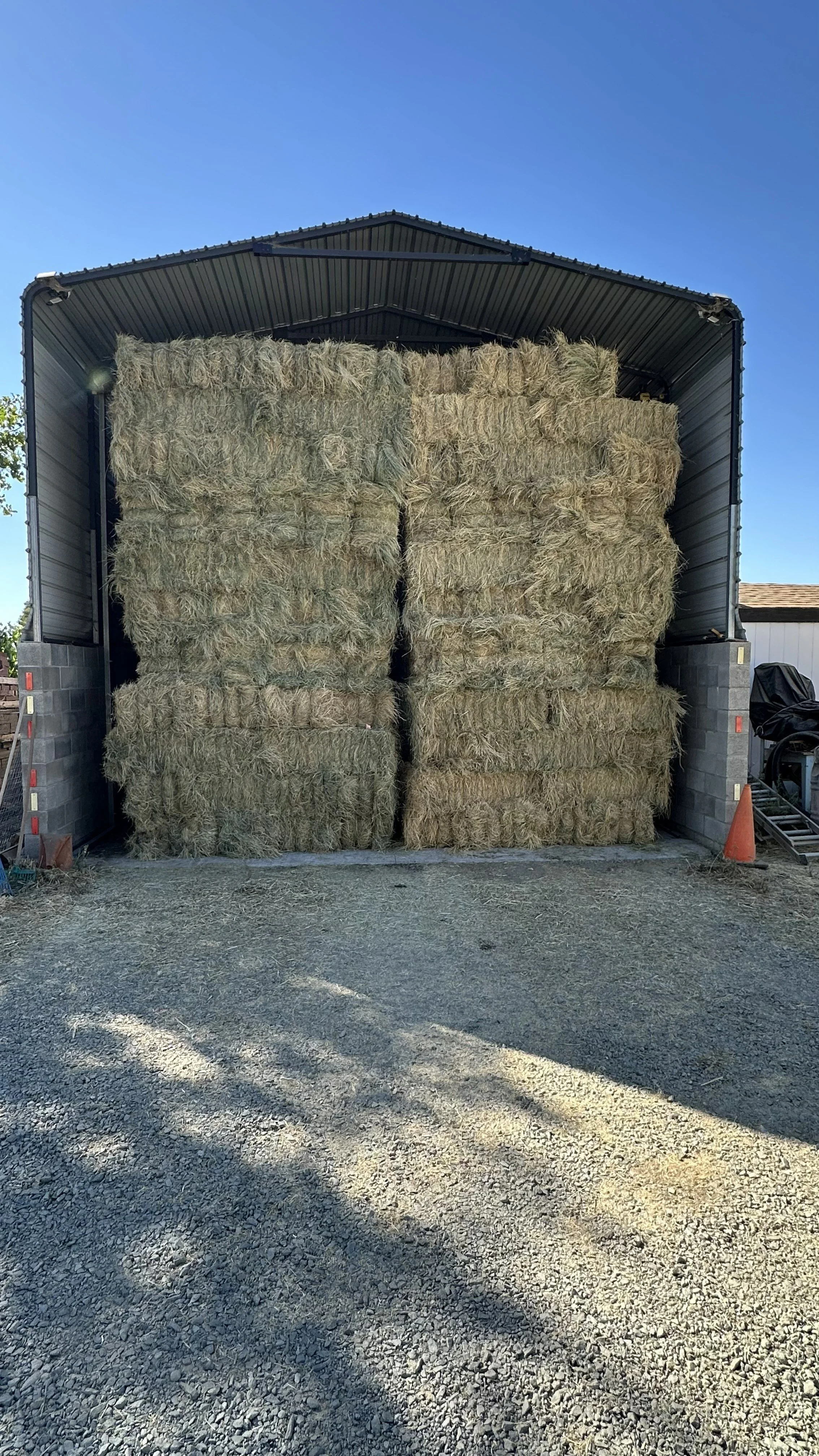 Large stacks of hay bales stored in a metal shed with a gravel ground and a clear blue sky background.
