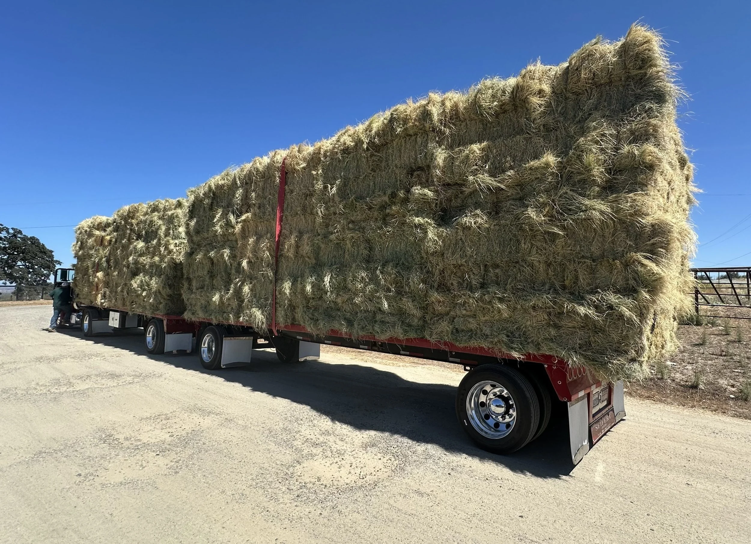 A flatbed truck carrying a large load of hay bales under a clear blue sky, with someone standing near the truck.